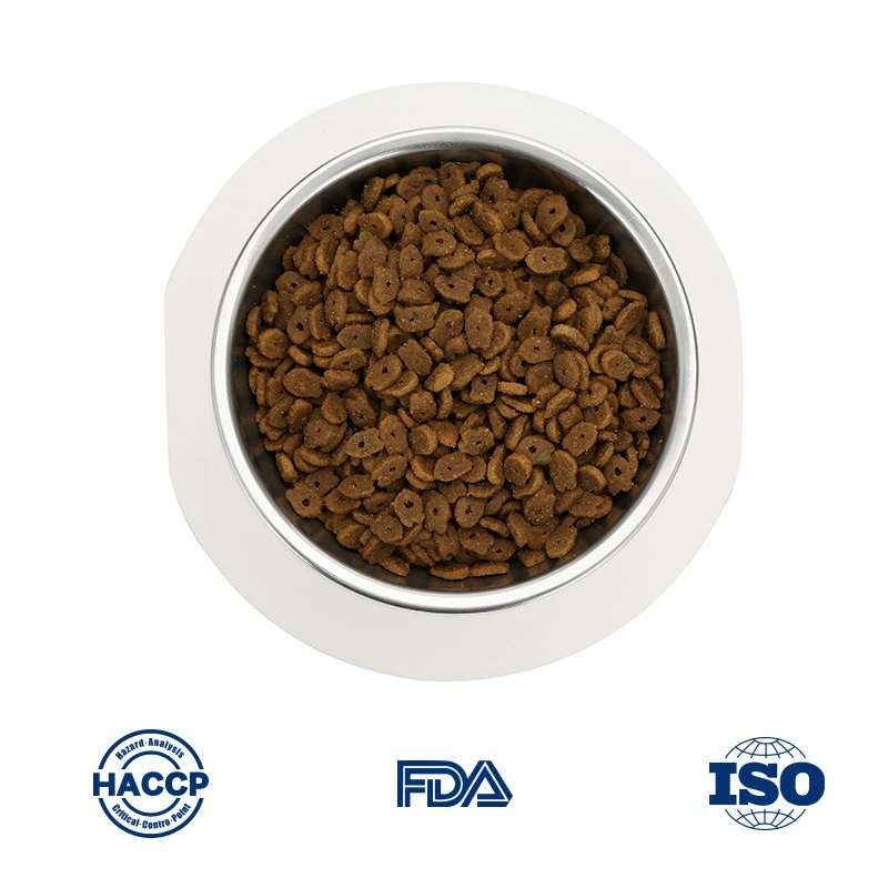 Healthiest Kitten Food Dry